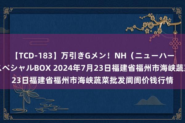 【TCD-183】万引きGメン！NH（ニューハーフ）ペニクリ狩りスペシャルBOX 2024年7月23日福建省福州市海峡蔬菜批发阛阓价钱行情