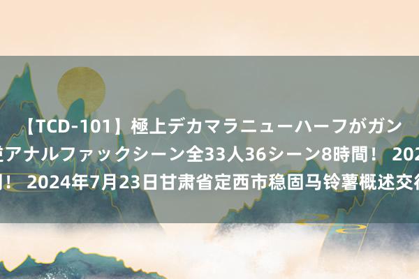 【TCD-101】極上デカマラニューハーフがガン掘り前立腺直撃快感逆アナルファックシーン全33人36シーン8時間！ 2024年7月23日甘肃省定西市稳固马铃薯概述交往中心价钱行情