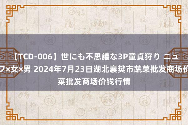 【TCD-006】世にも不思議な3P童貞狩り ニューハーフ×女×男 2024年7月23日湖北襄樊市蔬菜批发商场价钱行情