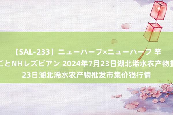 【SAL-233】ニューハーフ×ニューハーフ 竿有り同性愛まるごとNHレズビアン 2024年7月23日湖北浠水农产物批发市集价钱行情