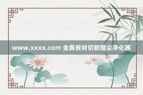 www.xxxx.com 金属板材切割烟尘净化器