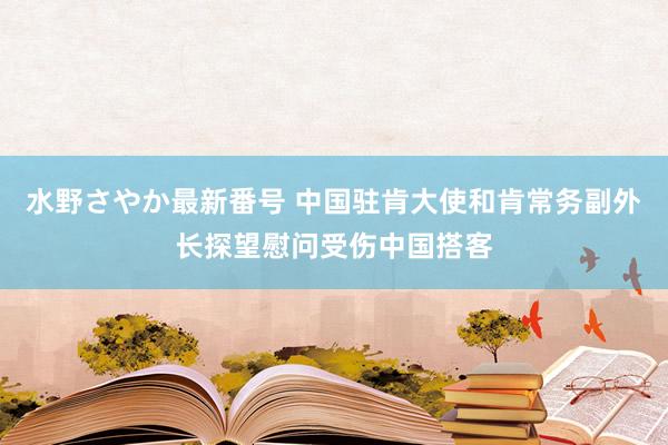 水野さやか最新番号 中国驻肯大使和肯常务副外长探望慰问受伤中国搭客