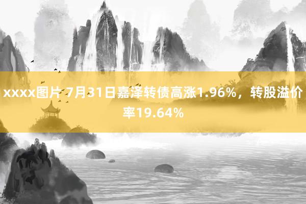 xxxx图片 7月31日嘉泽转债高涨1.96%，转股溢价率19.64%