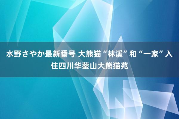 水野さやか最新番号 大熊猫“林溪”和“一家”入住四川华蓥山大熊猫苑