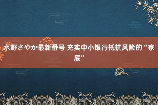 水野さやか最新番号 充实中小银行抵抗风险的“家底”