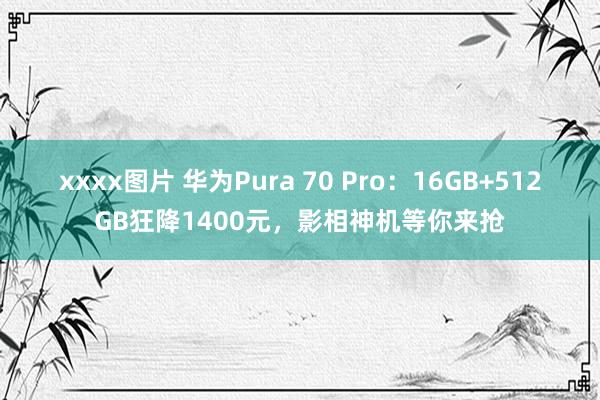 xxxx图片 华为Pura 70 Pro：16GB+512GB狂降1400元，影相神机等你来抢