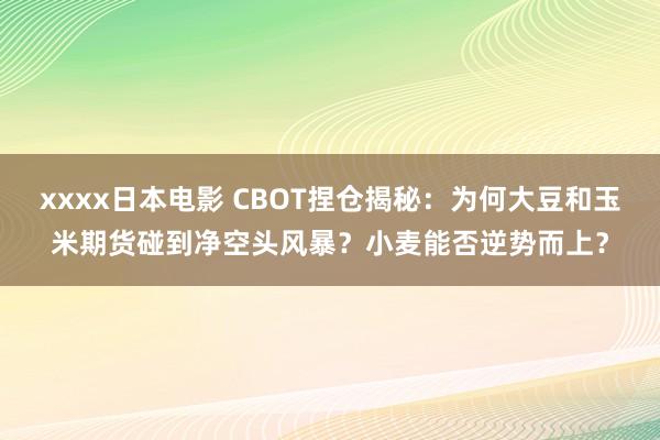 xxxx日本电影 CBOT捏仓揭秘：为何大豆和玉米期货碰到净空头风暴？小麦能否逆势而上？