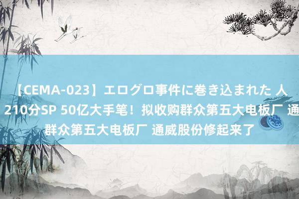 【CEMA-023】エログロ事件に巻き込まれた 人妻たちの昭和史 210分SP 50亿大手笔！拟收购群众第五大电板厂 通威股份修起来了