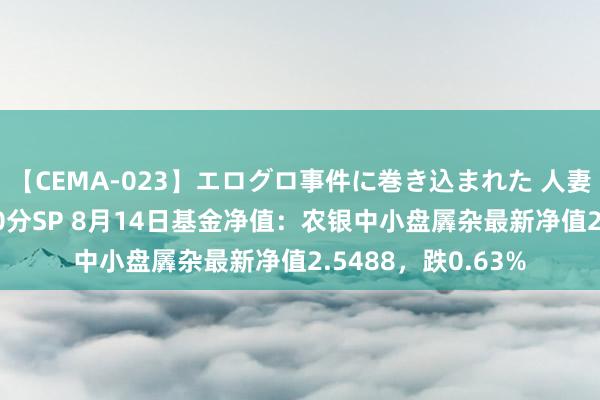 【CEMA-023】エログロ事件に巻き込まれた 人妻たちの昭和史 210分SP 8月14日基金净值：农银中小盘羼杂最新净值2.5488，跌0.63%