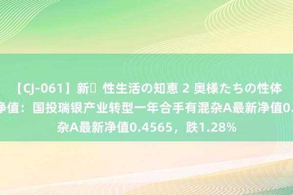 【CJ-061】新・性生活の知恵 2 奥様たちの性体験 8月14日基金净值：国投瑞银产业转型一年合手有混杂A最新净值0.4565，跌1.28%