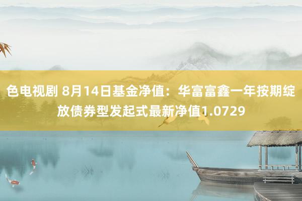 色电视剧 8月14日基金净值：华富富鑫一年按期绽放债券型发起式最新净值1.0729