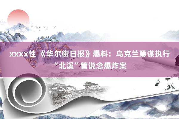 xxxx性 《华尔街日报》爆料：乌克兰筹谋执行“北溪”管说念爆炸案