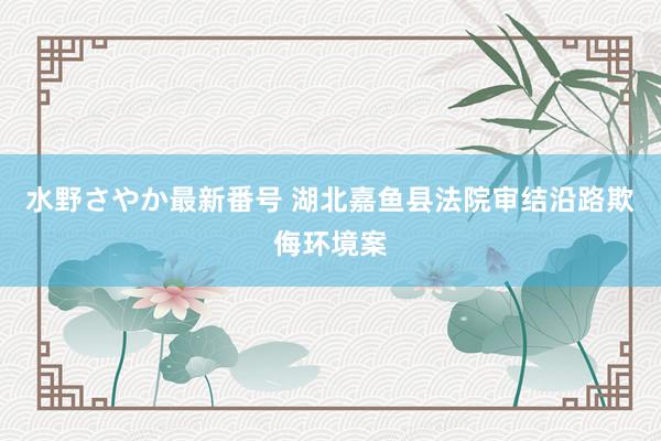 水野さやか最新番号 湖北嘉鱼县法院审结沿路欺侮环境案