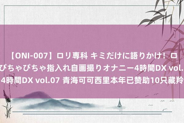 【ONI-007】ロリ専科 キミだけに語りかけ！ロリっ娘20人！オマ●コぴちゃぴちゃ指入れ自画撮りオナニー4時間DX vol.07 青海可可西里本年已赞助10只藏羚羊幼仔