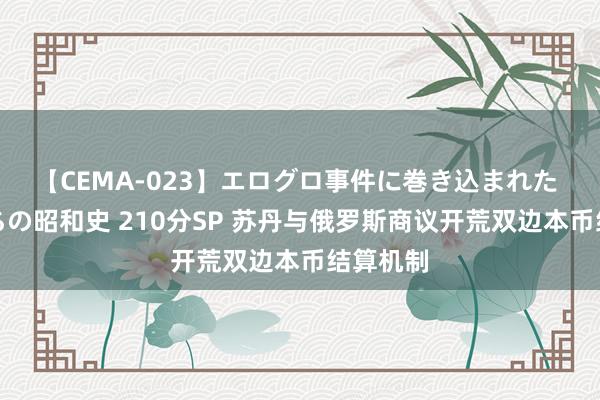 【CEMA-023】エログロ事件に巻き込まれた 人妻たちの昭和史 210分SP 苏丹与俄罗斯商议开荒双边本币结算机制