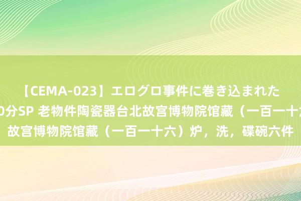 【CEMA-023】エログロ事件に巻き込まれた 人妻たちの昭和史 210分SP 老物件陶瓷器台北故宫博物院馆藏（一百一十六）炉，洗，碟碗六件