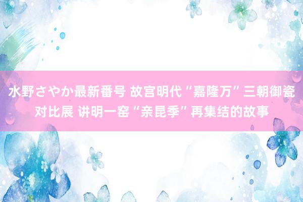 水野さやか最新番号 故宫明代“嘉隆万”三朝御瓷对比展 讲明一窑“亲昆季”再集结的故事