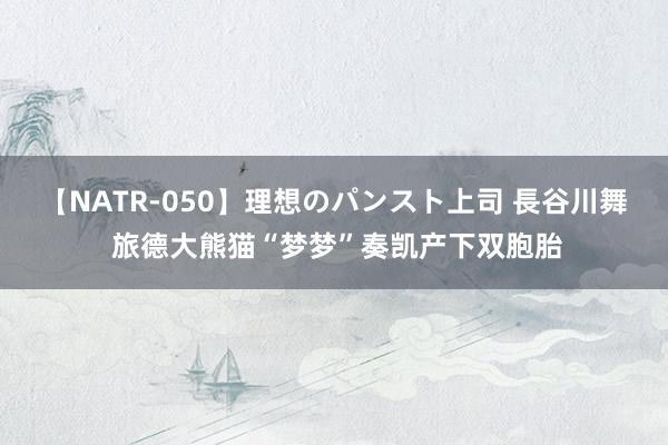 【NATR-050】理想のパンスト上司 長谷川舞 旅德大熊猫“梦梦”奏凯产下双胞胎