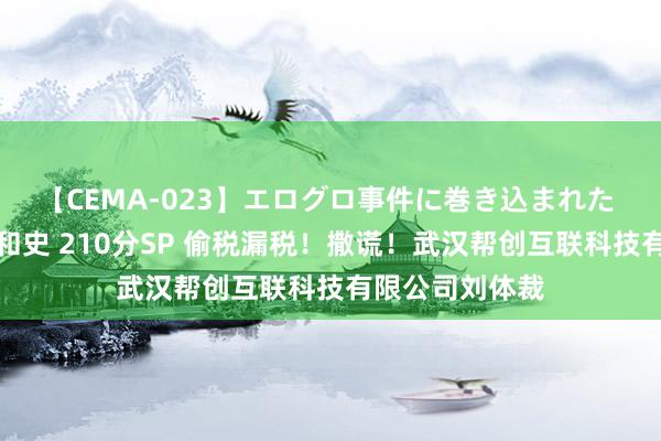 【CEMA-023】エログロ事件に巻き込まれた 人妻たちの昭和史 210分SP 偷税漏税！撒谎！武汉帮创互联科技有限公司刘体裁