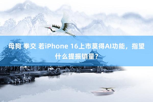 母狗 拳交 若iPhone 16上市莫得AI功能，指望什么提振销量？