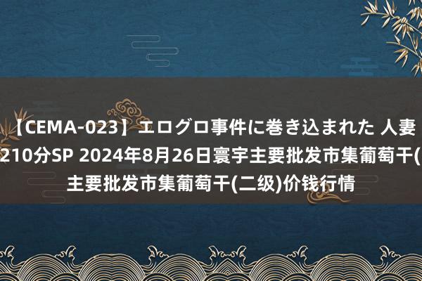 【CEMA-023】エログロ事件に巻き込まれた 人妻たちの昭和史 210分SP 2024年8月26日寰宇主要批发市集葡萄干(二级)价钱行情