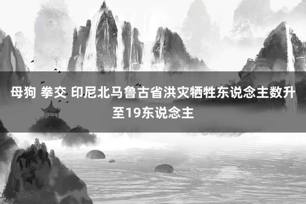 母狗 拳交 印尼北马鲁古省洪灾牺牲东说念主数升至19东说念主