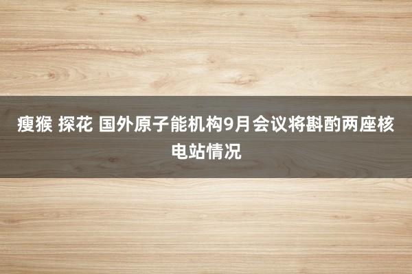 瘦猴 探花 国外原子能机构9月会议将斟酌两座核电站情况