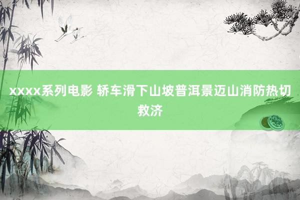 xxxx系列电影 轿车滑下山坡普洱景迈山消防热切救济