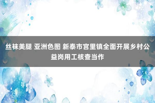 丝袜美腿 亚洲色图 新泰市宫里镇全面开展乡村公益岗用工核查当作