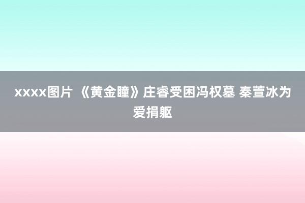 xxxx图片 《黄金瞳》庄睿受困冯权墓 秦萱冰为爱捐躯